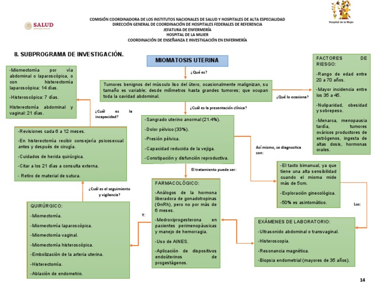 Mapa Conceptual Quirófano PDF Útero Vagina