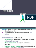 0 Reflexele