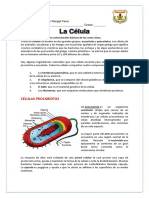 Ciencias Naturales-La Celula 