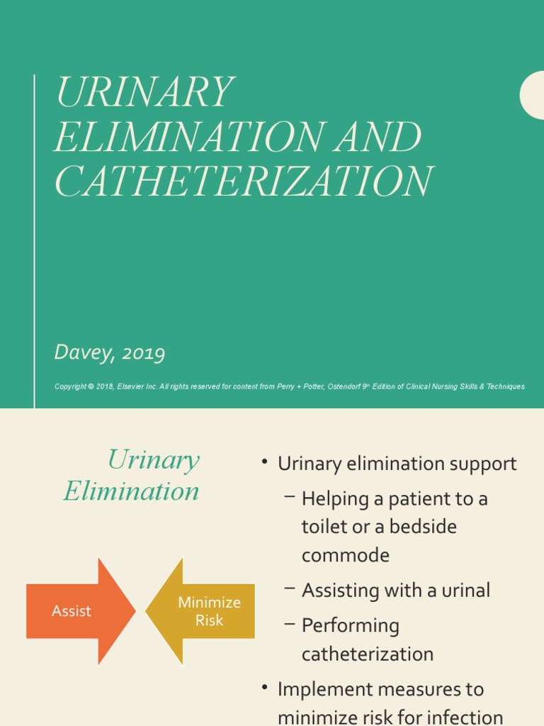 Urinary Elimination and Catheterization | PDF | Urinary Incontinence ...
