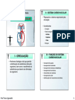 Aula Sistemacardiovascular