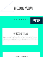 Charla de Proteccion Visual