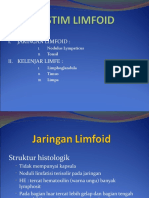 Struktur dan Fungsi Organ Limfoid dan Jaringan Limfoid