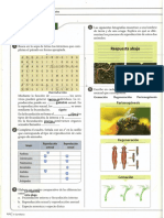 Actividad Naturales