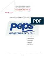 A PROJECT REPORT ON Peps PVT LTD