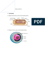 Química Ciclo 6 Taller 5