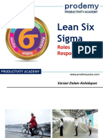 Role in Lean Six Sigma Role & Responsibility-Update