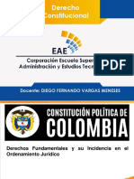 5- Derechos Fundamentales y su Incidencia en el Ordenamiento Jurídico