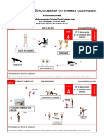 Microciclo 7