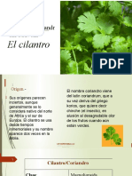 Propiedades Cilantro