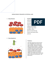 Skema Potensial Aksi