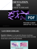 Gaucher's Disease