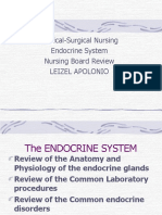 Medical-Surgical Nursing: Endocrine System Review