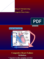 Etiology and Pathophysiology of Congestive Heart Failure