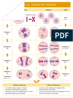 Topic 3.3: Stages of Meiosis: Stage Diagram Diagram Stage