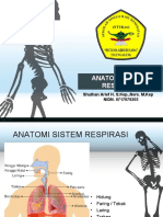 Anatomi sistem pernafasan
