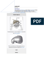 Falciform Ligament: Jump To Navigation Jump To Search