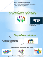 Propiedades Colectivas