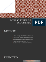 Forest Fires in Indonesia