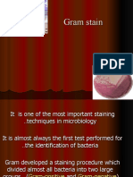 Gram_stain