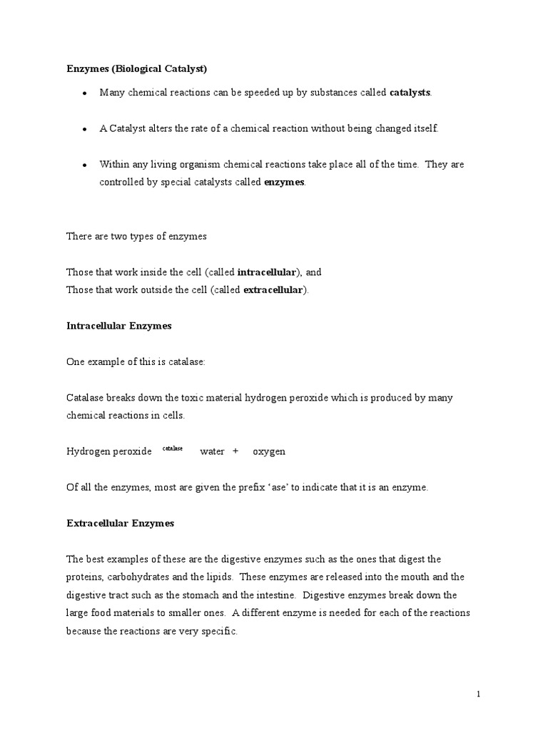 Enzymes (Biological Catalyst) Catalase PDF Enzyme Digestion