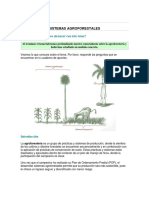 Sistemas Agroforestales y Silvopastoriles