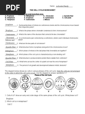 Kami Export Cell Cycle Review Pdf Mitosis Cell Cycle