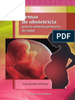 Temas Obstetricia Aps Completo