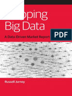 Mapping Big Data