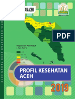 Profil Kesehatan Aceh Tahun 2019 (1)