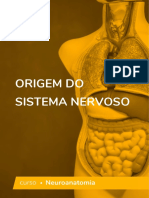 Origem Do Sistema Nervoso