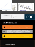 Carbohidratos: clases y funciones en