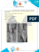 Estudio-de-caso-Fase-2 Semiologia TAREA 2 Fabian Daza