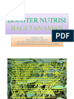 Booster Nutrisi