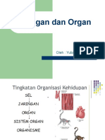 Jaringan Dan Organ