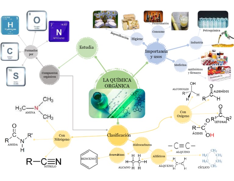 Mapa Mental de La Química Orgánica | PDF | Compuestos orgánicos | Grupo  funcional
