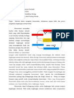 Anfiswan homeostatis dll-Dewi Portuna Suwanda (F1071191050)