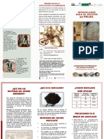 2019, Inoculante para El Cultivo de Frijol