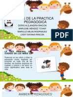 Diapositivas Ejes de La Practica Pedagogica X