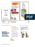 PDF Leaflet Demam Tifoid