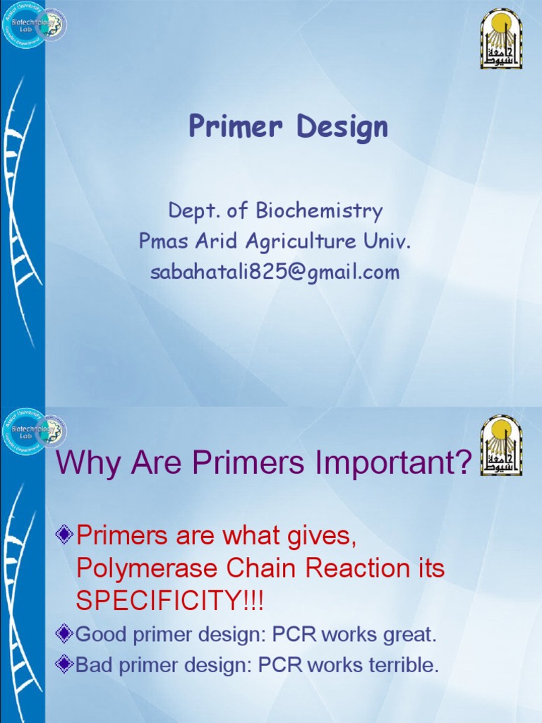 Essential Guide to PCR Primer Design | PDF | Primer (Molecular Biology ...