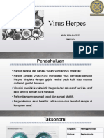 Virus Herpes