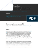 Fastidious Organism: Gram-Negative Coccobacilli