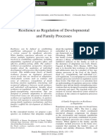 Resilience As Regulation of Developmental and Family Processes