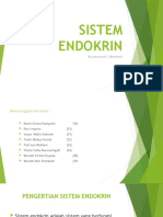 Endokrin Anatomi