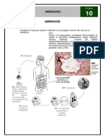 Amebiasis