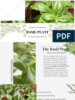 Basil Plant: Keep Going. Keep Growing