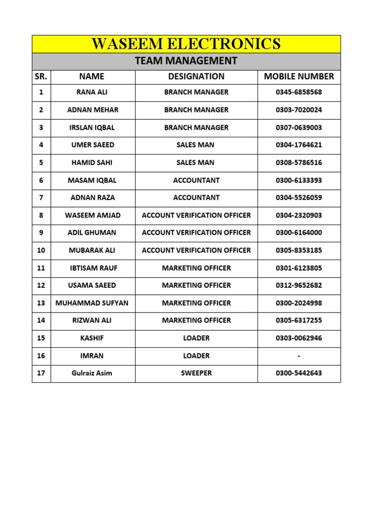 Waseem Electronics Team Directory | PDF