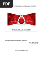 Biochimia Sangelui Word