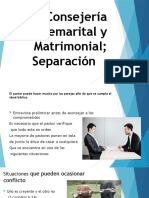 Consegeria Premarital Matrimonio y Divorcio